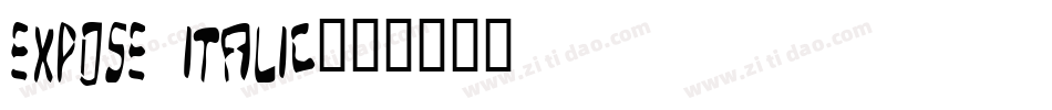 Expose Italic字体转换